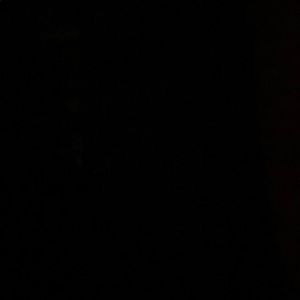 Meet your Posher, Max